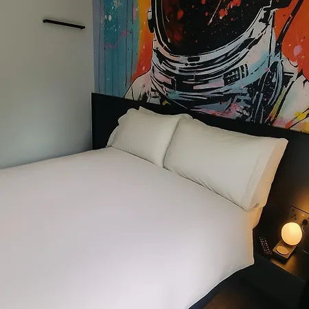 Monkey Puzzle No1 Bunclody